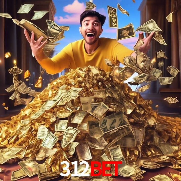 Interface Premium 312bet